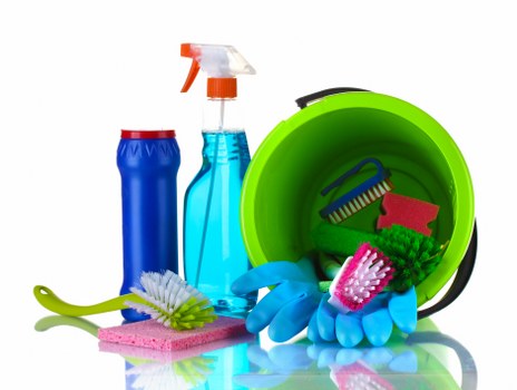 Professional Maidavale cleaner presenting a clean and organized interior space