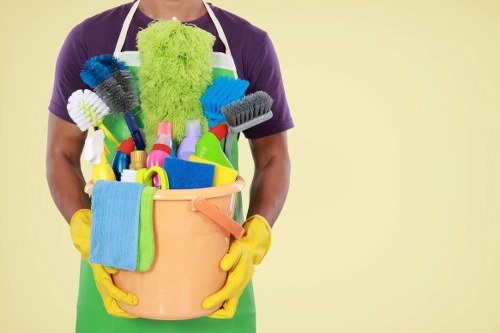 Deep cleaning and detailed surface care