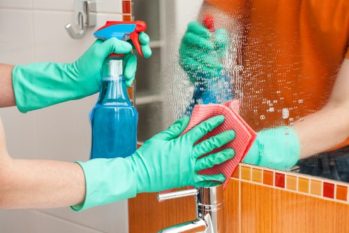 Secure Maidavale Cleaner payment page illustration with card and online payment symbols