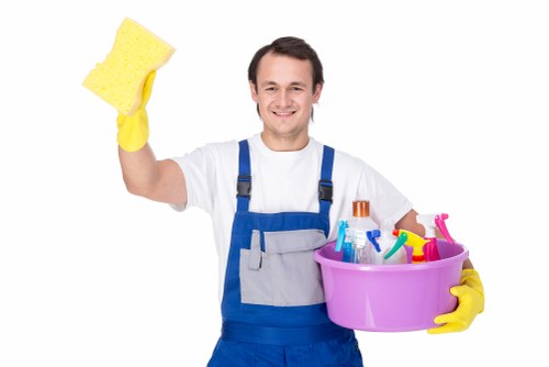 Stain and odor treatment for rugs in Maidavale