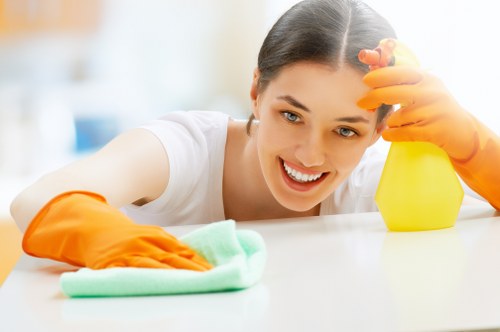 Professional cleaner preparing a tidy Maidavale home