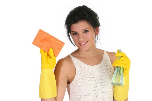 Deep cleaning tools for a Maidavale property