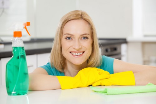 Kitchen and bathroom domestic cleaning services in Maidavale