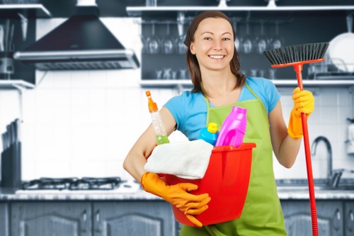 Deep carpet cleaning equipment in Maidavale