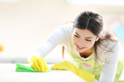 Maidavale cleaning support for a spotless interior space