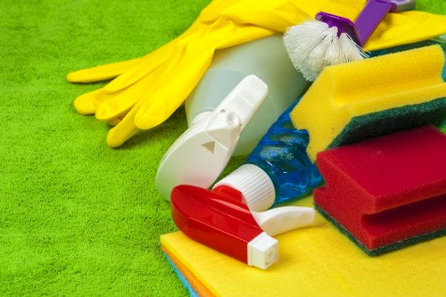 Professional Maidavale cleaner handling household cleaning tasks