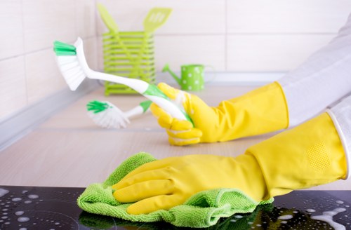 Deep oven cleaning service in Maidavale for a spotless kitchen appliance