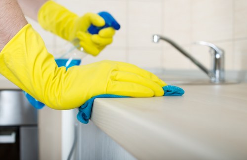 Domestic cleaning supplies arranged for a Maidavale service