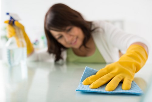 Manager reviewing workplace safety measures before cleaning begins