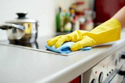 Maidavale Cleaner website experience supported by cookies