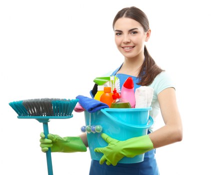 Deep cleaning equipment used on tile and hard flooring in Maidavale